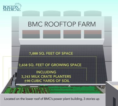 7,000 pies cuadrados de espacio, 2,568 pies cuadrados de espacio de cultivo, 2,243 sembradoras de cajas de leche, más de 90 yardas cúbicas de tierra