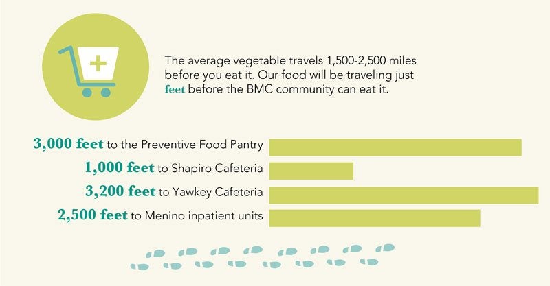 The average vegetable travels 1,500-2,500 miles before you eat it. Our food will be traveling just feet before the BMC community can eat it. 3,000 feet to the Preventative Food Pantry, 1,000 feet to Shapiro Cafeteria, 3,200 feet to Yawkey Cafeteria, 2,500 feet to Menino inpatient units