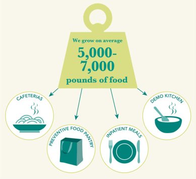 Cultivamos un promedio de 5,000 a 7,000 libras de alimentos, que van a las cafeterías, la despensa de alimentos preventivos, las comidas para pacientes hospitalizados y la cocina de demostración.