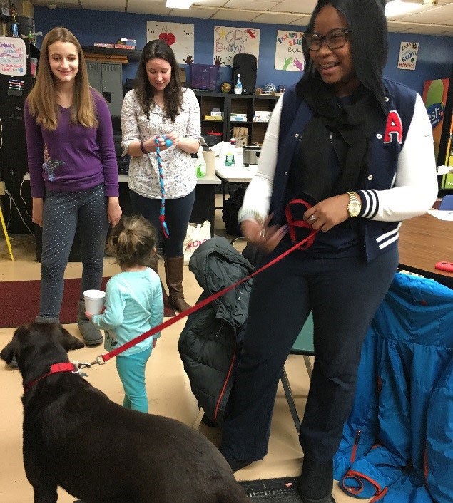 Interacting with therapy dogs.