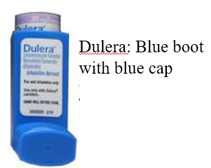 Dulera